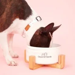 Oscar & Friends The Collar Medium Confetti Medium