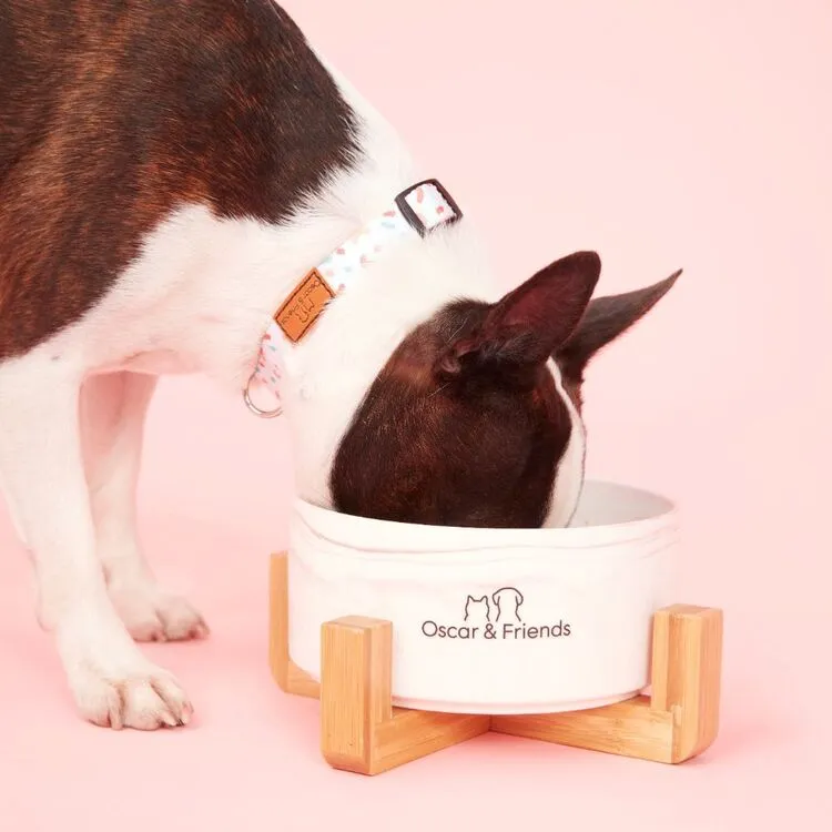 Oscar & Friends The Collar Medium Confetti Medium