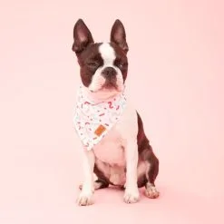 Oscar & Friends The Bandana Small Confetti Small