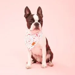 Oscar & Friends The Bandana Medium Confetti Medium